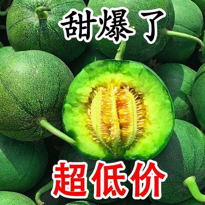 顺丰加中通东北头茬绿宝石甜瓜脆甜香瓜现摘应季水果孕婴可食包邮