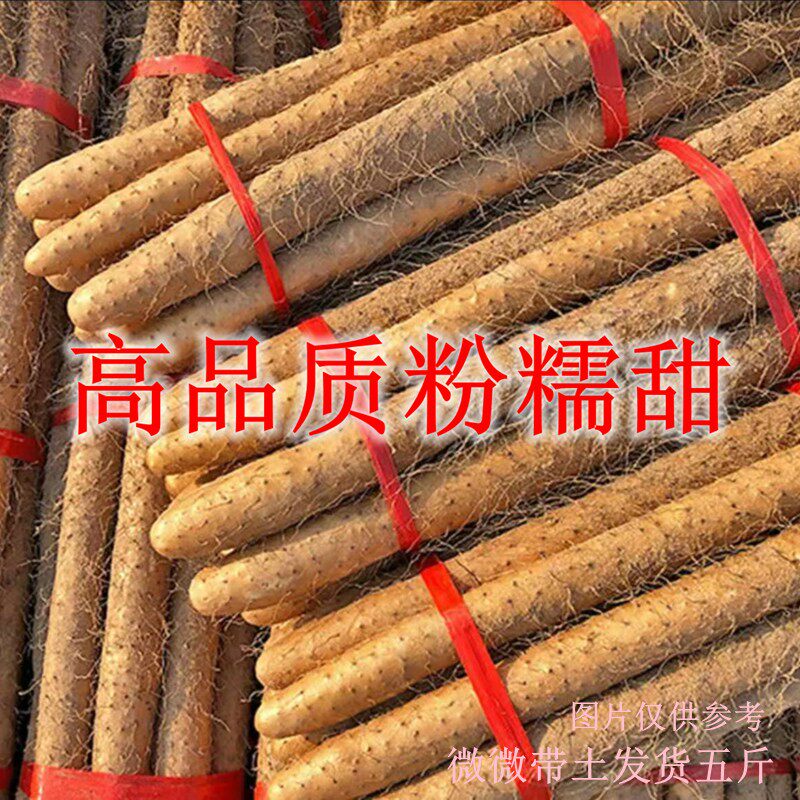 【铁棍山药软糯香甜】产地直发生鲜蔬菜宝宝辅食带箱五斤50-70厘