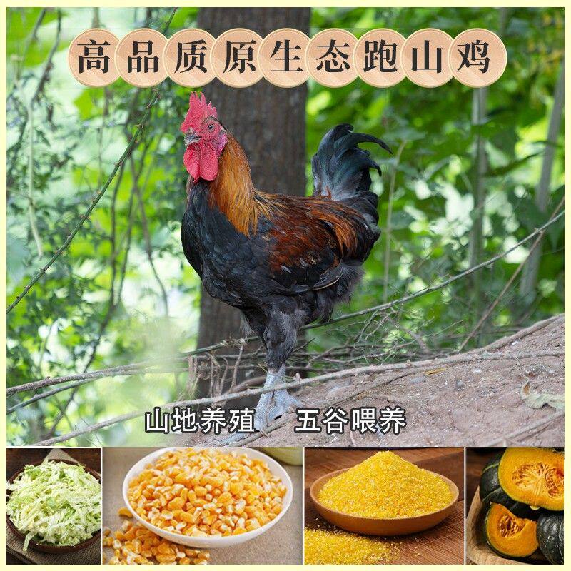 三德子【少年公鸡】买二赠一散养土鸡农家散养草鸡白切鸡椰子鸡生