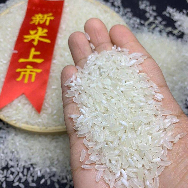 特等 五常大米2026年新米秋粮河畔稻花香2号1kg*5块共10斤真空5kg