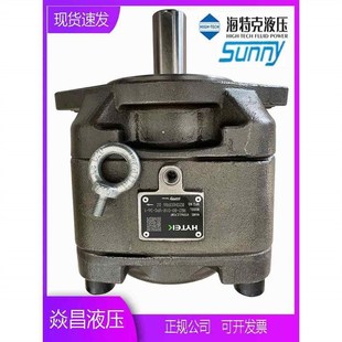 125 100 160 01R SUNNY伺服油泵 海特克内啮合齿轮泵HG2 VPC