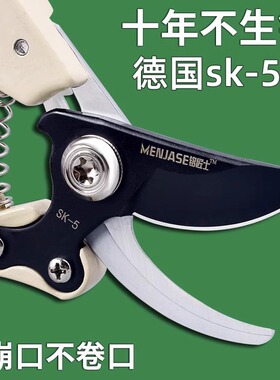 德国精工果树剪枝剪刀粗枝花草修枝剪家用绿化园艺强力省力花剪