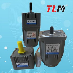 定速马达2IK6GN BM配减速箱 402 东力TLM调速刹车6W电机M206