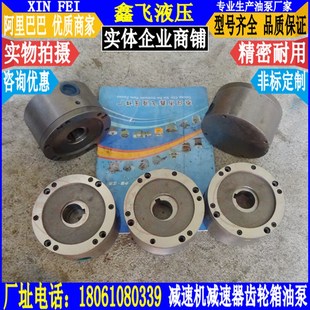 120 2减速机油泵ADG N进口齿轮箱润滑油泵KSW2 KSW 1.2