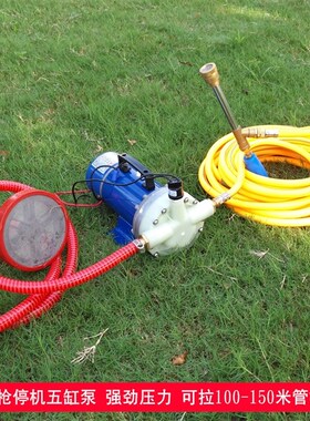 电动喷雾器农用高压泵12V48V60V-5缸隔膜泵喷雾喷药机洗车抽水机