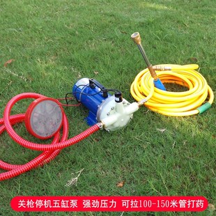 5缸隔膜泵喷雾喷药机洗车抽水机 电动喷雾器农用高压泵12V48V60V