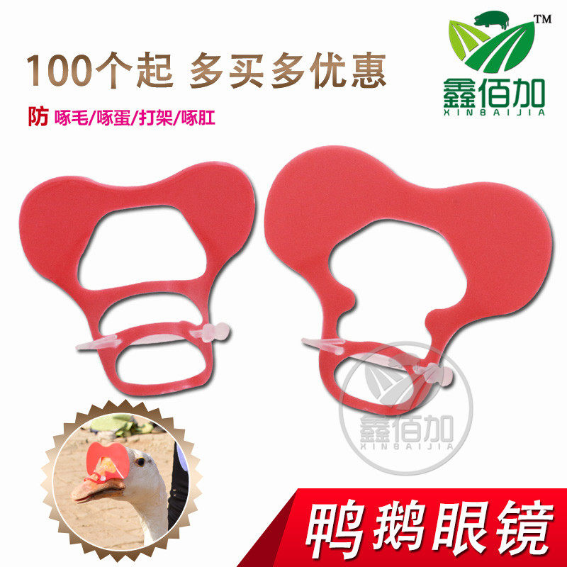 鸭用眼镜鸭鹅眼镜防啄毛防啄蛋番鸭肉鸭鹅眼镜鸭眼罩家禽类鸭眼镜,饰品/流行首饰/时尚饰品新,链条,淘宝优惠券,粉丝福利购,淘宝优惠卷