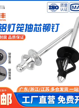 灯笼抽芯铆钉全铝大帽沿拉铆钉三爪黑色汽车用酒盒用拉钉铆钉