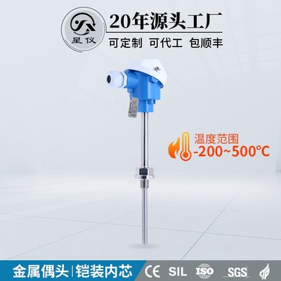 星仪CWDZ33K铠装插入型温度变送器高温PT100铂热电阻高精度传感器