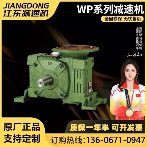 WPWDA WPWDS WPWDO WPWDX 40 50 -250蜗轮蜗杆齿轮箱带电机减速机