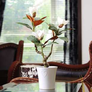 白玉兰花盆栽装饰假树植物造景盆景绿植客厅摆件园林景观仿真绿植