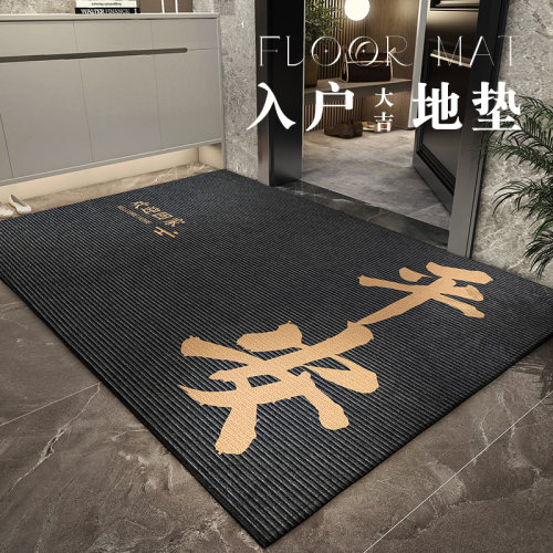 入户门垫现代简约k进门脚垫高级感免洗门口家用地毯防滑地垫免洗