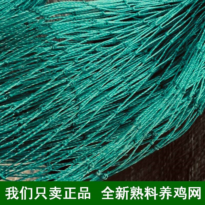 养殖网天网养鸡网防鸟顶网围栏防护网菜园耐用户外家禽拦鸡防逃网