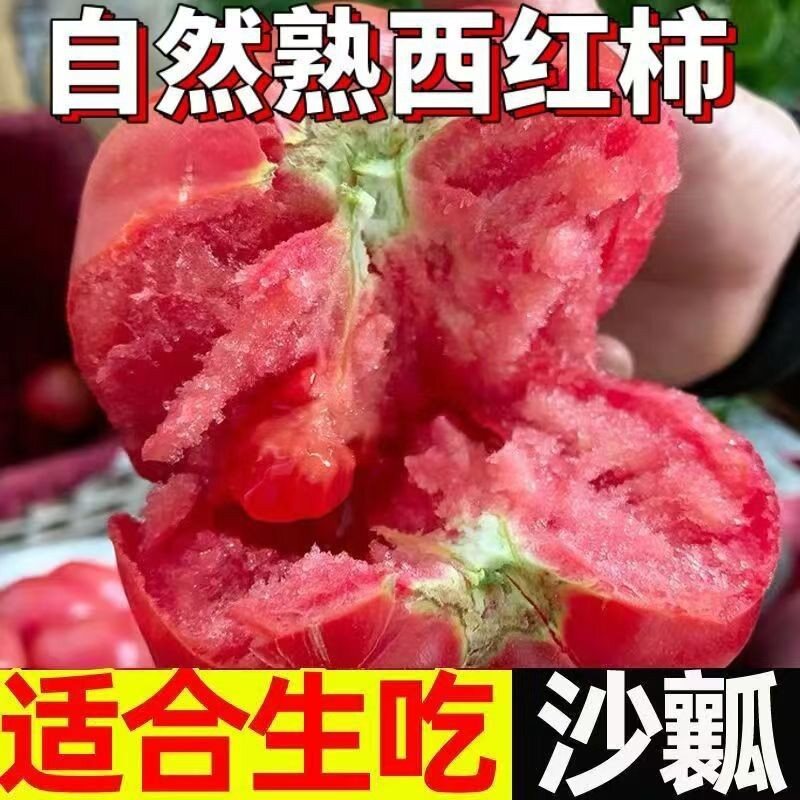 【枝遇】老品种小时候的味道沙瓤水果口感西红柿新鲜番茄自然成熟