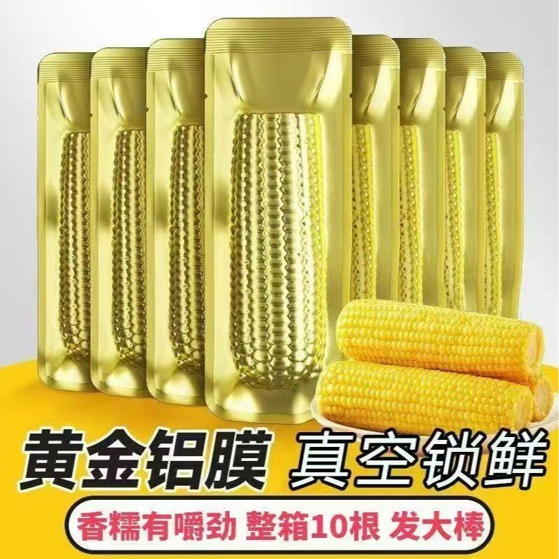 试吃3支东北黄糯玉米香甜软糯粘拉丝整箱真空包装10支5斤/6斤