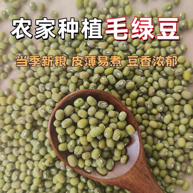 【当季毛绿豆】正宗农家当季新货毛绿豆粗粮杂粮绿豆汤糖水五谷杂