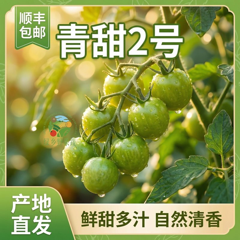 【顺丰包邮】青甜2号小番茄当天现摘产地直发清甜爆汁(1-4斤)