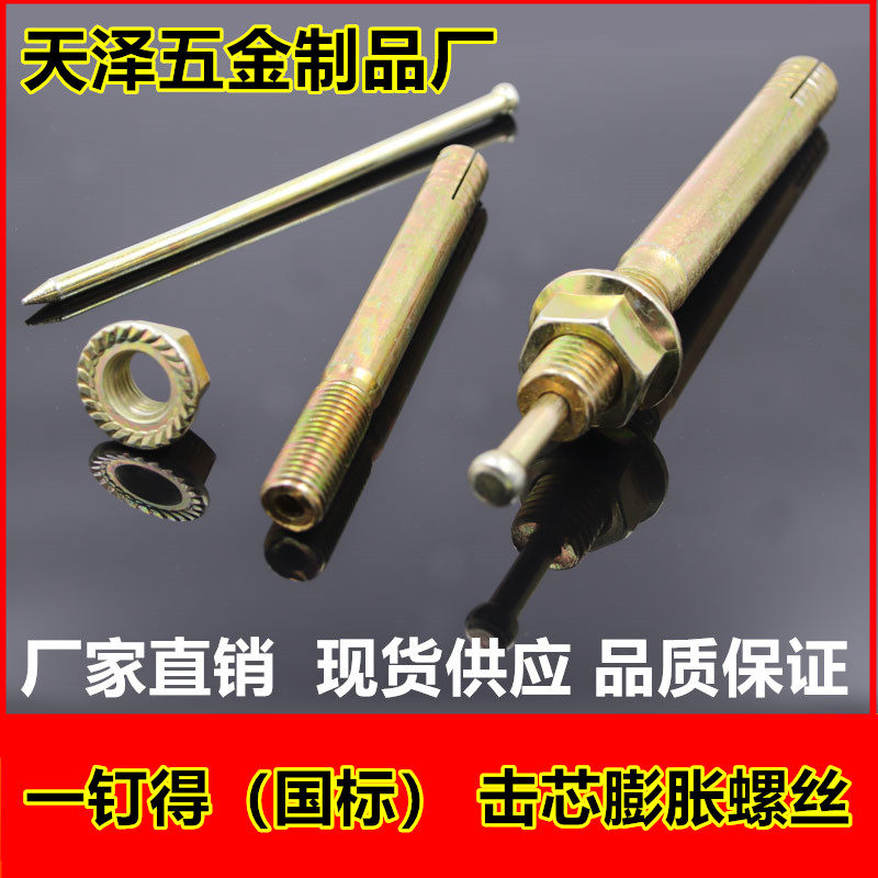 一钉得膨胀螺丝击芯膨胀螺丝 高强度膨胀栓 锤钉壁虎胀管M8-M20