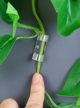 绿萝爬墙神器绿箩固定器绿植花的卡子植物挂钩免打孔无痕卡扣爬藤