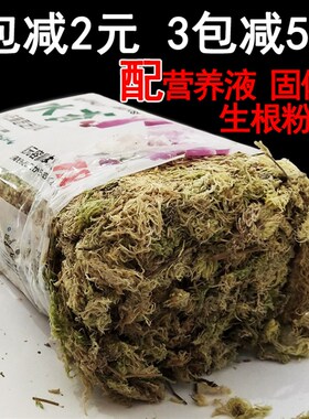 干水苔藓石斛蝴蝶兰花食虫捕蝇猪笼草多肉环盆栽水陆缸种植营养土