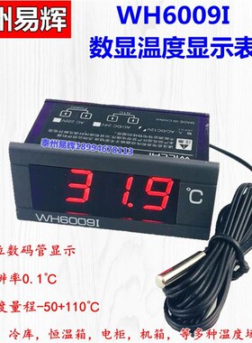 WH6009I测温仪电子数显温度计汽车冷库高精度小型温度表12V220V