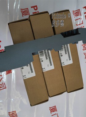 6DL1193-6BH00-0RM0 6DL1193-6TP00-0DF1支架模块