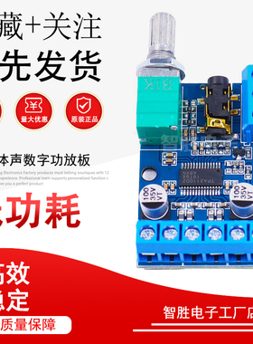 30Wx2大功率立体声数字功放板12V/24V供电DIY功放模块 DY-AP3015