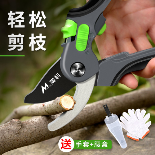 果树剪枝剪刀修枝剪园艺修剪树枝园林专用修花剪省力果枝剪粗枝剪