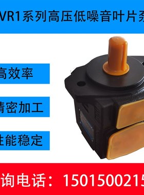 定量 叶片泵PV2R1-10 12 14 17 19 23 25 28 31-F-R液压油泵21MPA