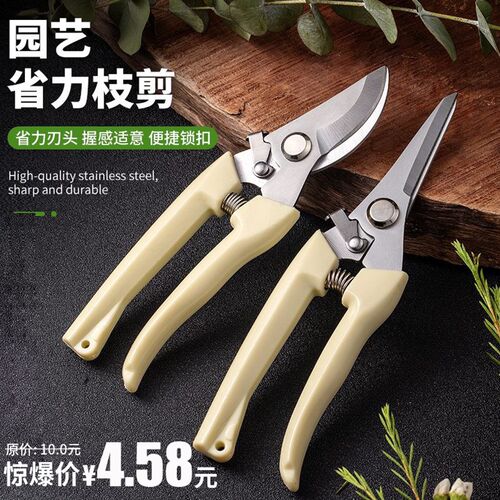 不锈钢树枝剪采摘水果花木剪园林果树花卉枝嫁接园艺剪刀工具