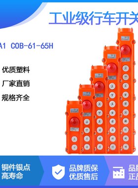 森奥TNHA1 COB-61H/62H63H64H65H行吊车葫芦操作按钮起重防水开关
