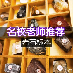岩石标本小学四年级科学地理石头矿物实验科普学具矿石教学教具