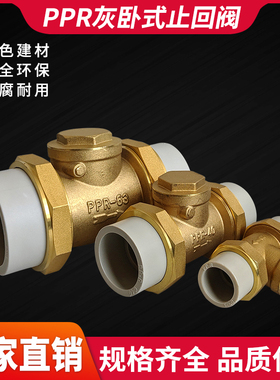 灰色PPR水管热熔单向逆流阀202532热熔管道4分1寸2寸回水阀卧式横