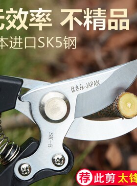 日本剪枝修枝剪花剪园艺剪刀家用花草盆栽修花园林果树修剪树枝
