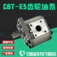 BFPR E532 E520 液压齿轮油泵CBT E563 E525 E550 BFHL E540 E580