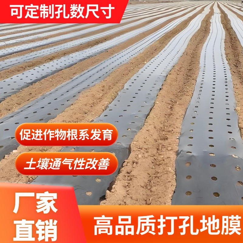 带孔黑地膜农用加厚打孔塑料膜种植果园蔬菜药材专V用除草薄膜圆