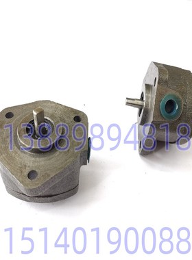 中捷镗床配件 TPX6113 油泵 摆线泵 EL6140 沈阳机床 SBRB-6 原厂
