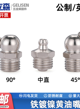 GJ铁镀镍黄油嘴铁油嘴头注油嘴黄油枪头弯油嘴M6M8M10M12M14 G1/8