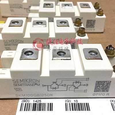 SKM100GB128D SKM100GB125D SKM100GB063D SKM145GAL066D 195GB12