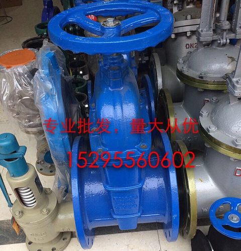 暗杆弹性座封闸阀/软密封阀门法兰自来水闸阀DN50 65 80 100 150