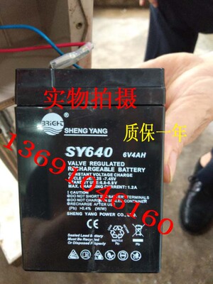 SHENGYANG晟阳蓄电池 SY640 6V4AH 玩具车 童车 电子称用电瓶