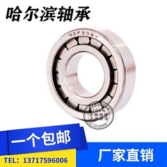 满装滚子轴承102205 102206 102207 102208 102209  102210 2