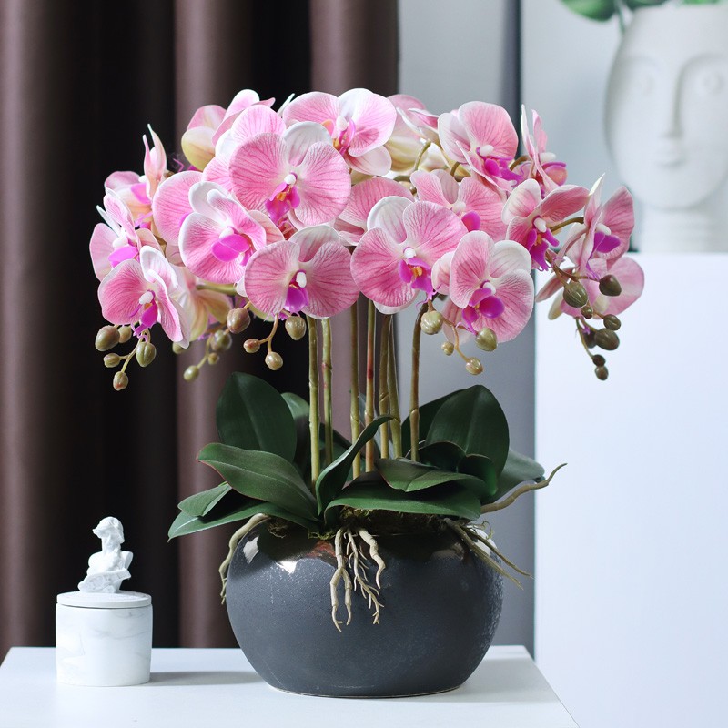 花与梦仿真蝴蝶兰假花客厅装饰摆件桌面兰花盆栽餐桌摆花轻奢花艺