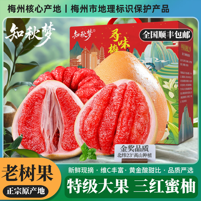 顺丰【知秋梦】梅州三红蜜柚大果礼盒红肉红心柚子中秋当季正新鲜