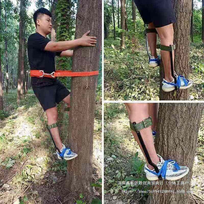 树上树工爬具上99117树猫爬爪子大拐脚蜂扎子捉马窝树工具