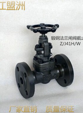 锻压不锈钢法兰国标闸阀截止阀F304/F321/F316  Z/J41W-PN160