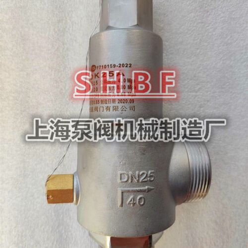 张家港科尔润低温安全阀DA22F-40P 液氮液氧LNG安全阀DN10 15 25