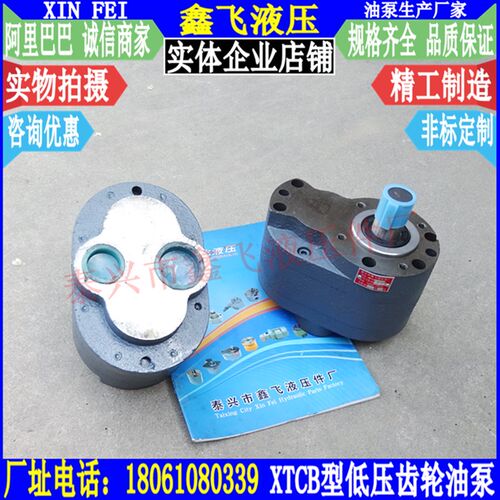 润滑电动泵CB-B125加油泵B80齿轮油泵XTCB B100齿轮泵CB3液压泵G