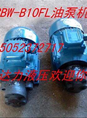 供应TCBW-B10FL齿轮油泵电机组,CB-B10插入式油泵电机组
