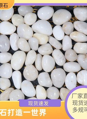 海南白色鹅卵石雨花石原石庭院铺地阳台造景软石子精品抛光天然